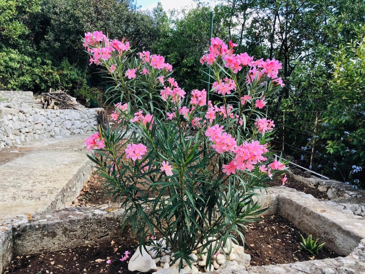 Lux Apartments Korčula Zewnętrze zdjęcie