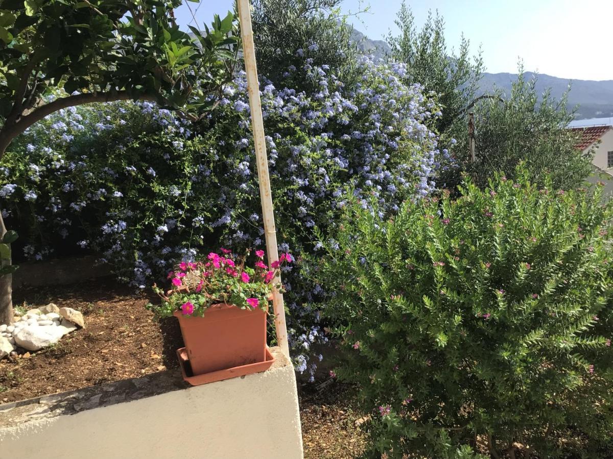 Lux Apartments Korčula Zewnętrze zdjęcie