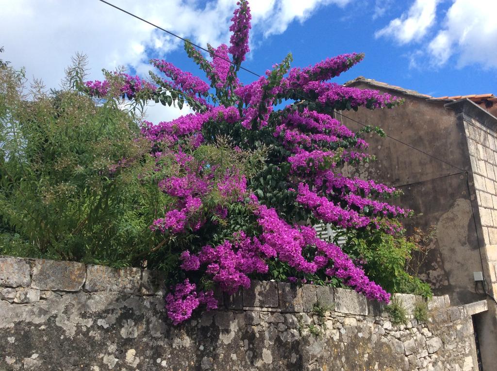 Lux Apartments Korčula Pokój zdjęcie