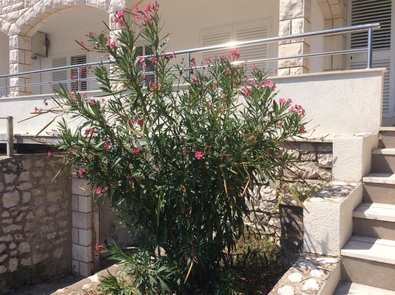 Lux Apartments Korčula Zewnętrze zdjęcie